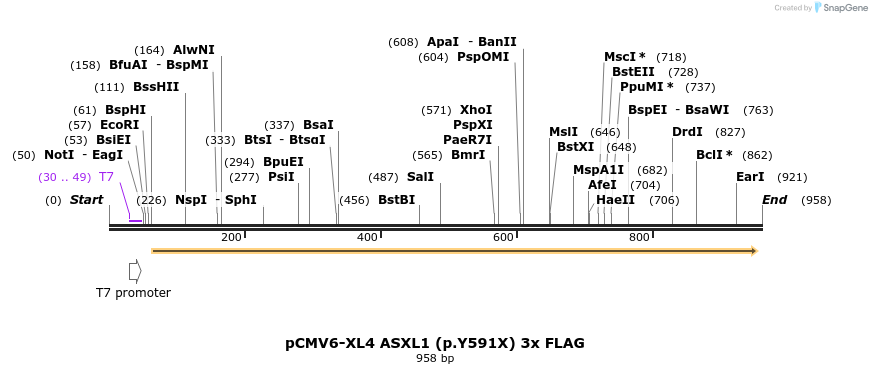 169386_map