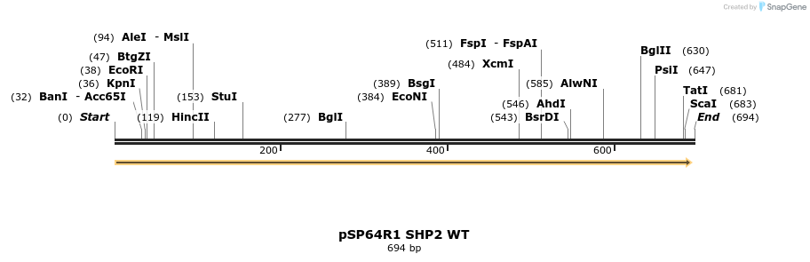 16941_map