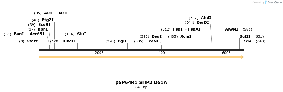 16943_map