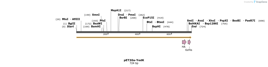 169447_map