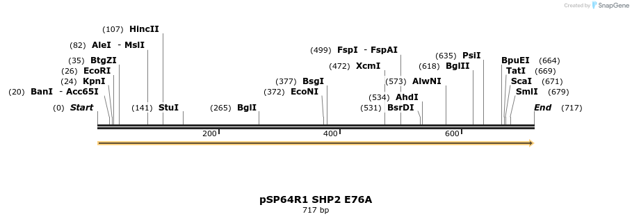 16945_map
