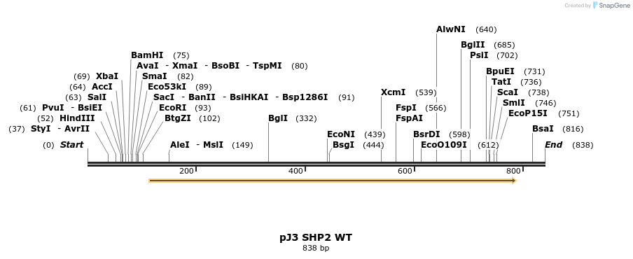 16949_map