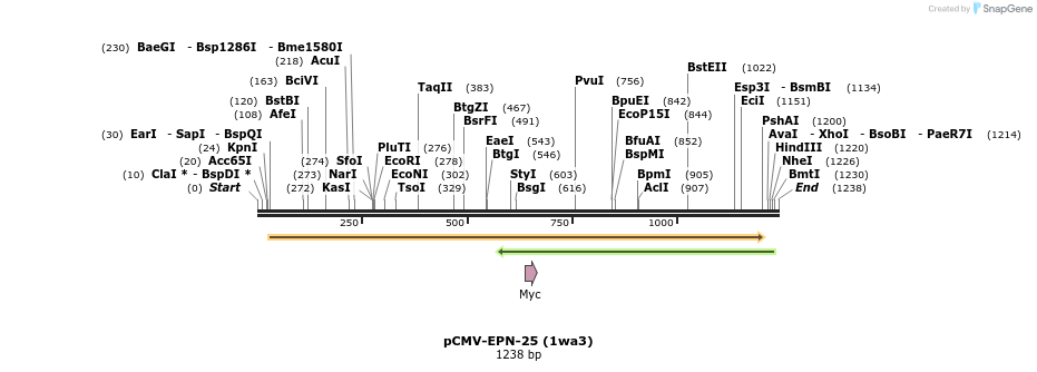 169494_map