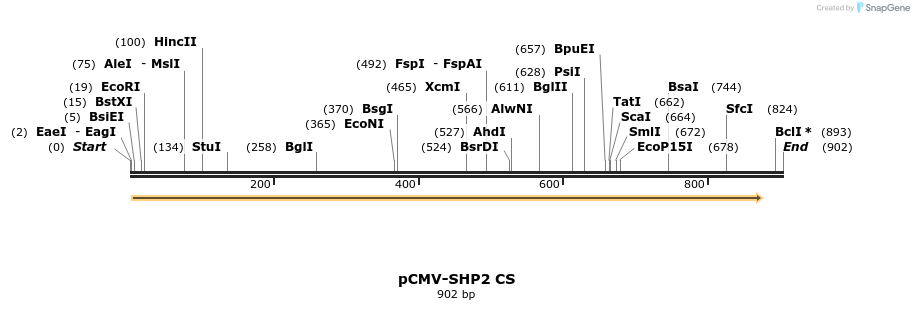 16951_map
