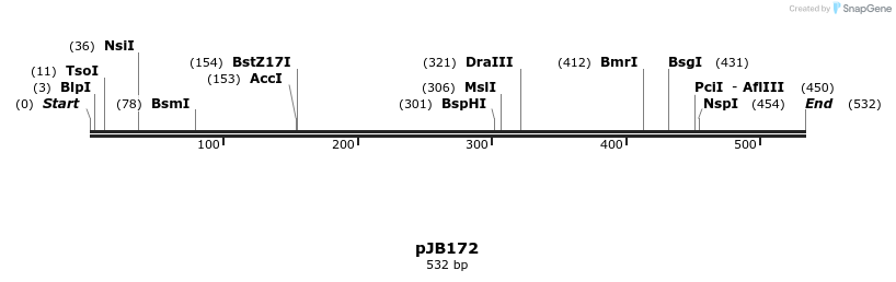 169684_map