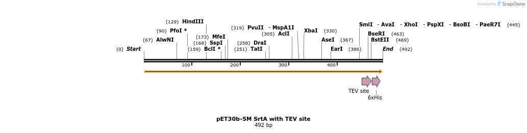 169722_map