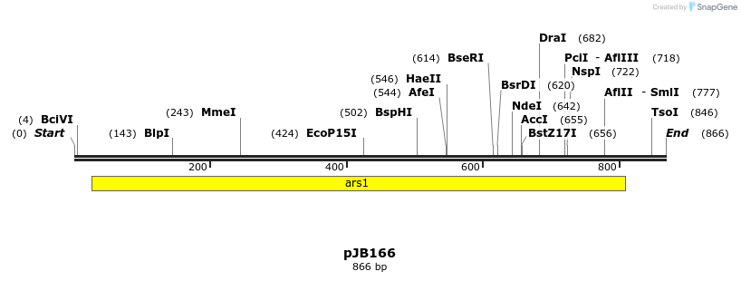 169725_map
