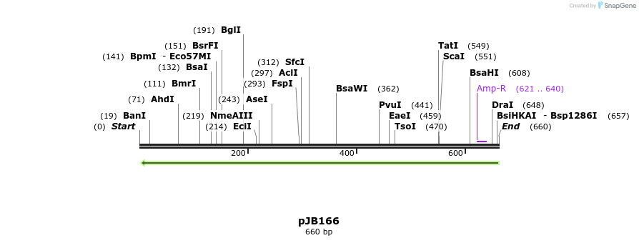 169728_map