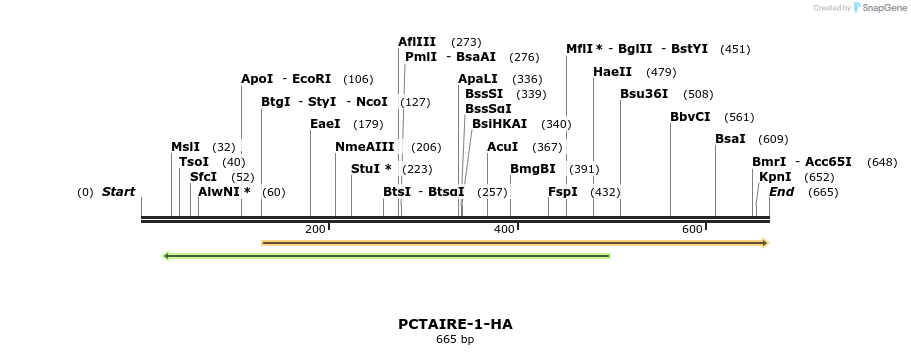 16979_map