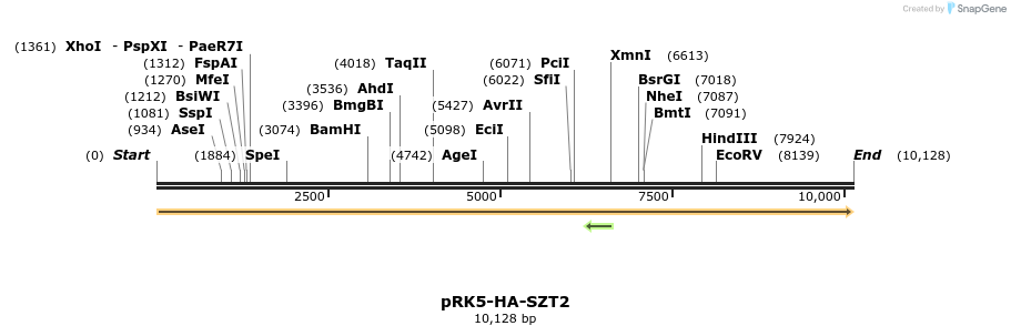 169804_map