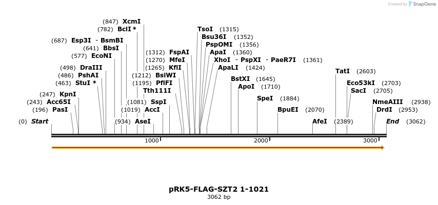 169805_map