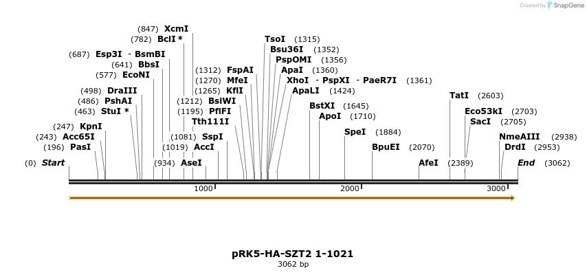 169806_map