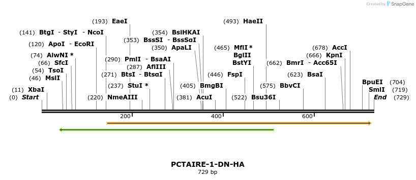 16981_map