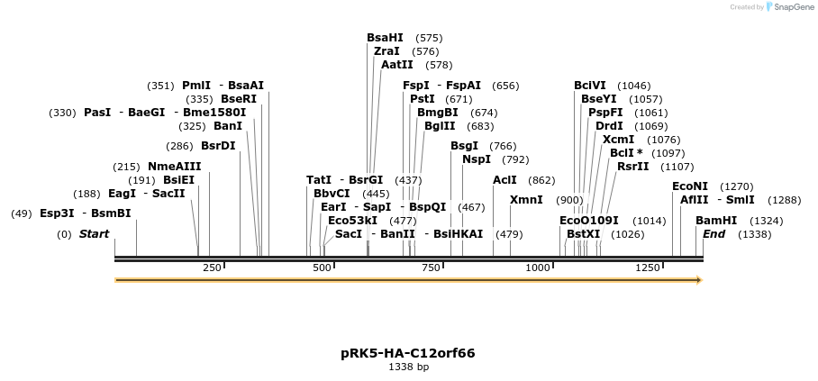 169817_map