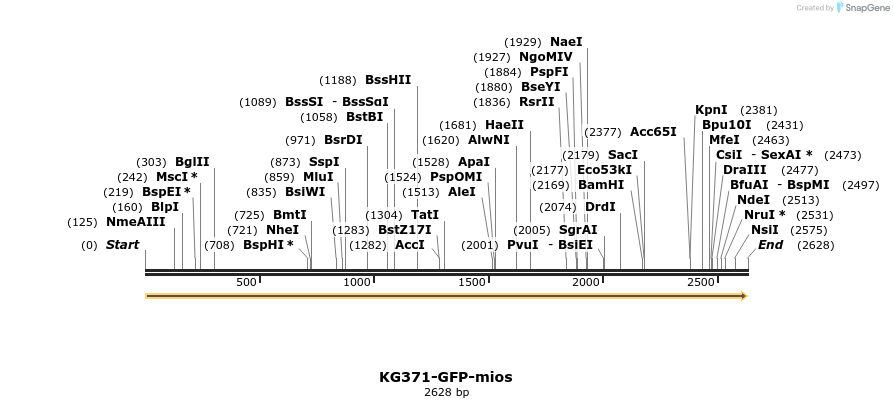 169821_map