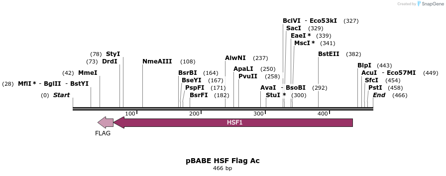 16987_map