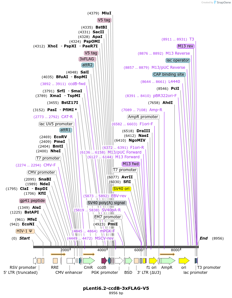 169900_map