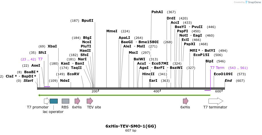 169931_map