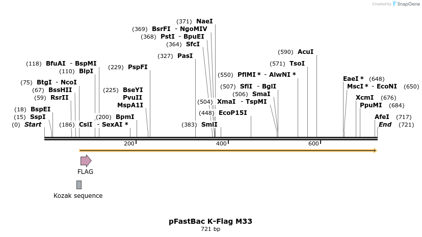 16994_map