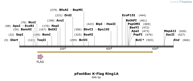16997_map