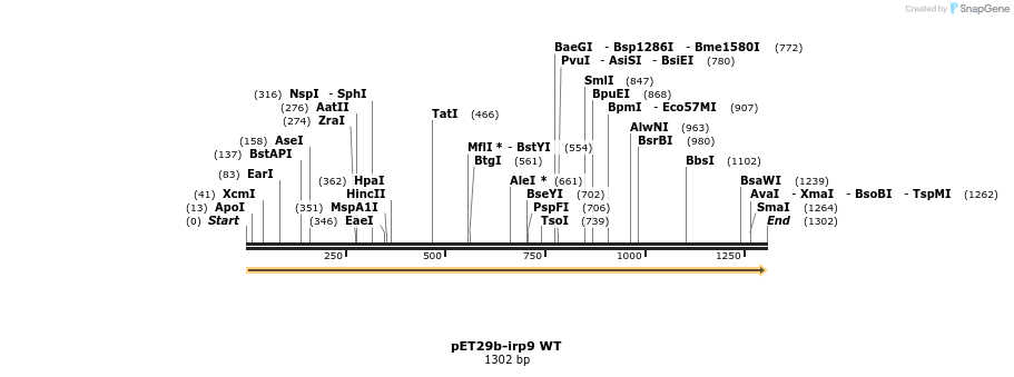 169984_map