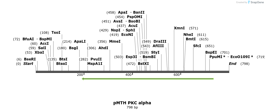 17001_map