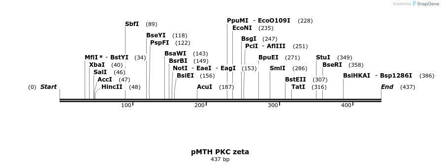 17003_map