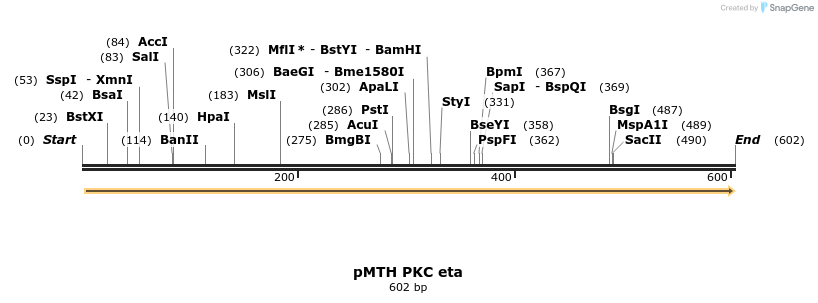17004_map