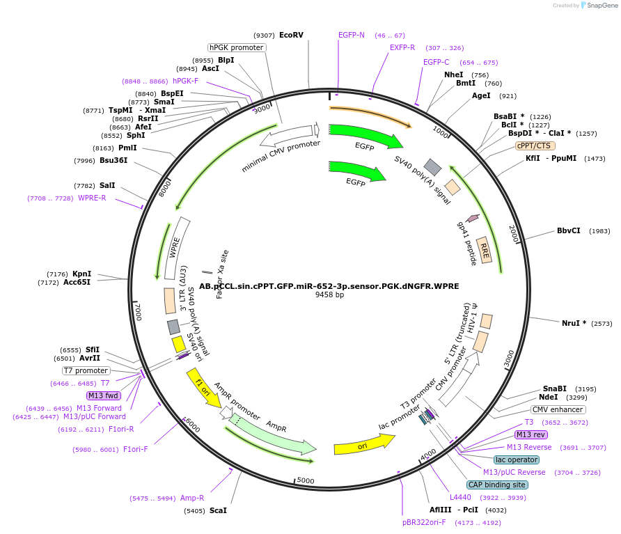 170049_map