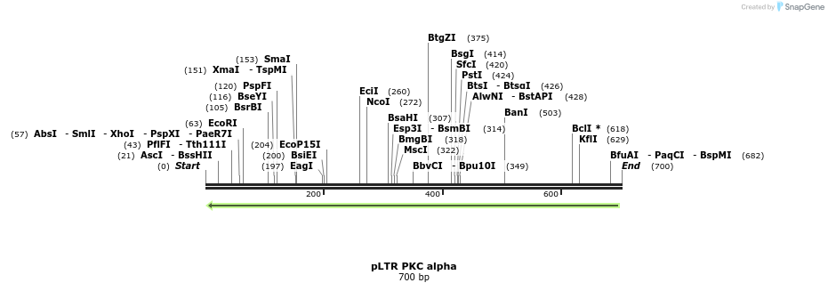 17005_map