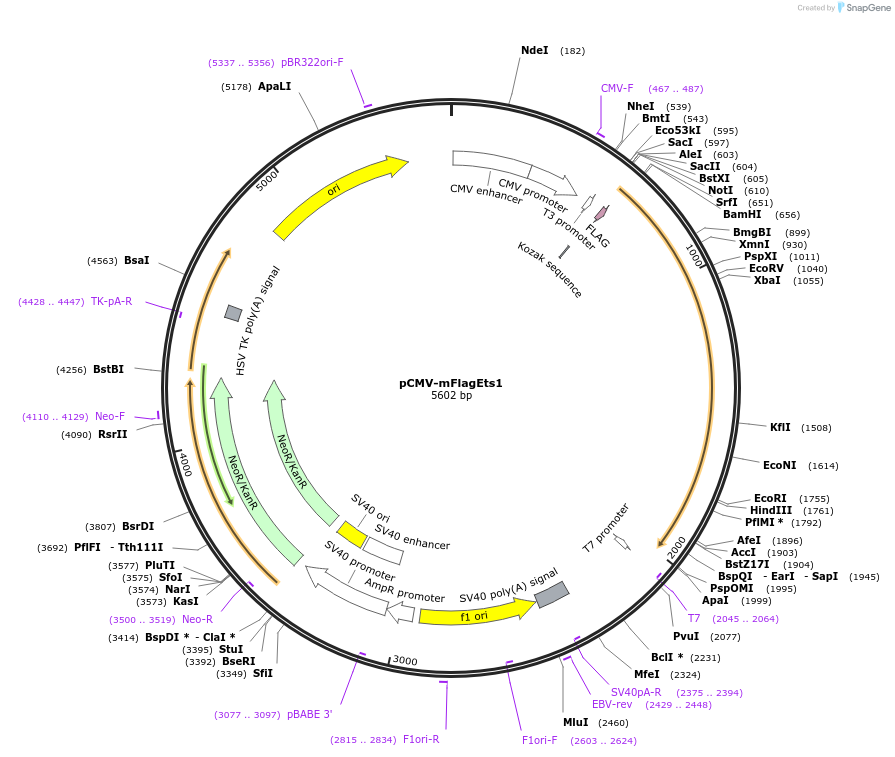 170057_map