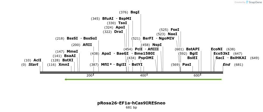 170060_map