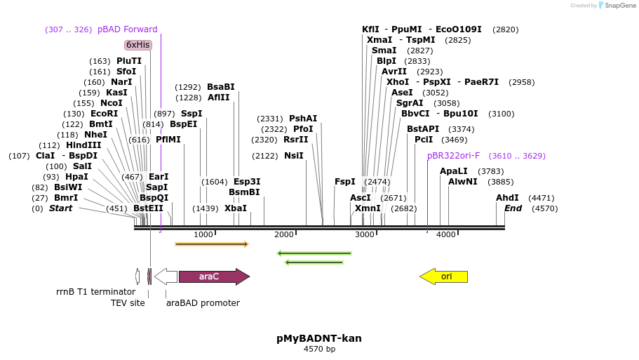 170067_map