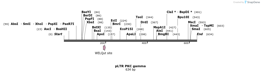 17007_map