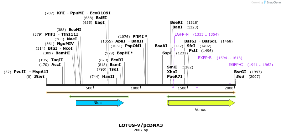 170078_map