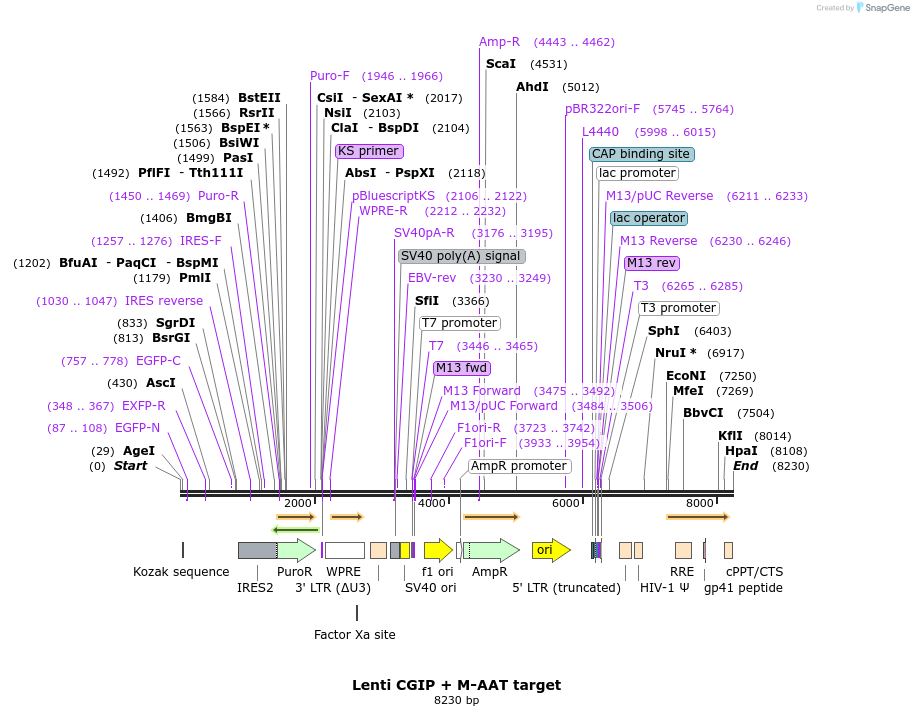 170080_map