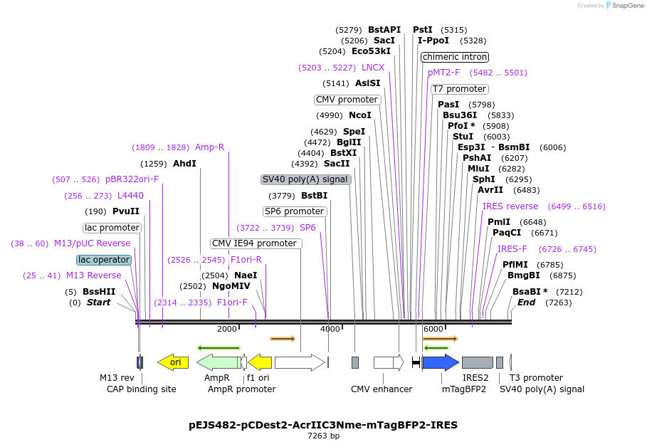 170085_map