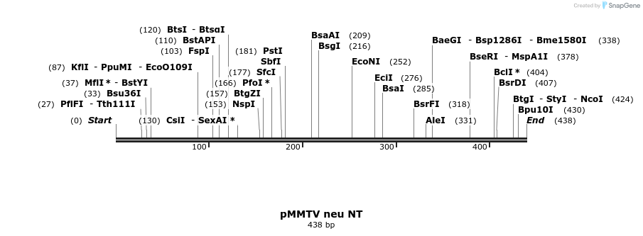 17011_map