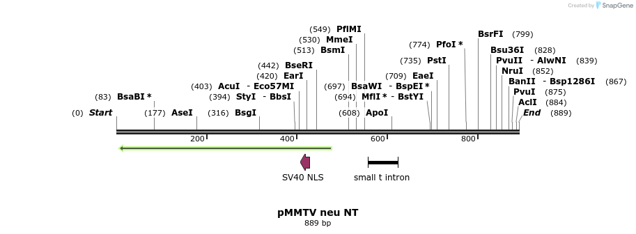 17012_map