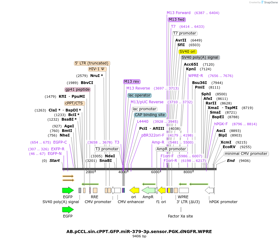 170128_map