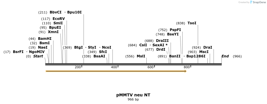 17013_map