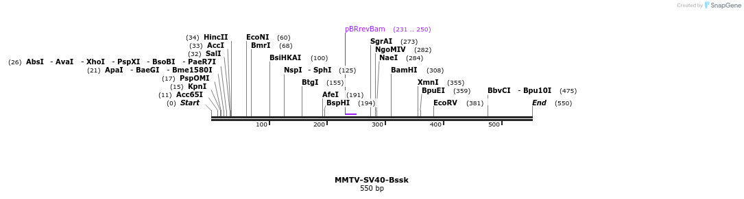 17014_map