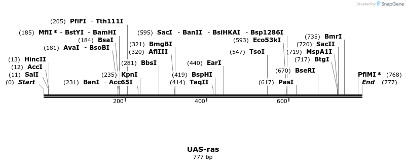 17015_map