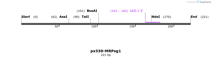 170154_map
