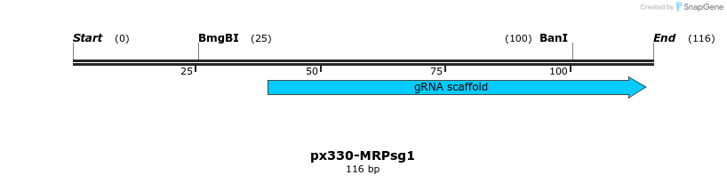 170155_map