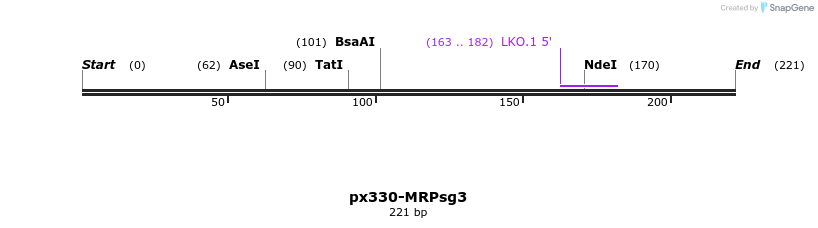 170160_map