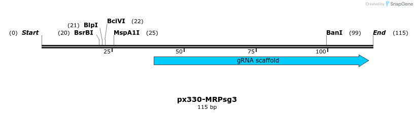 170161_map