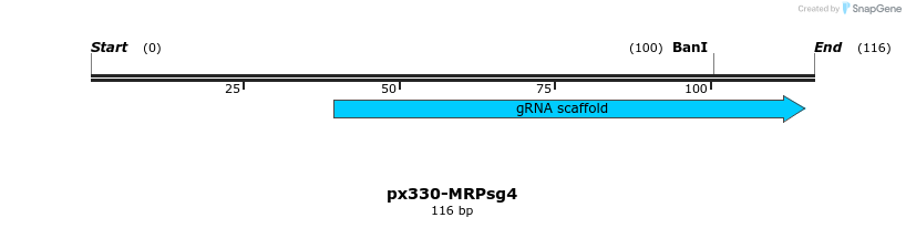 170164_map