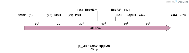 170169_map