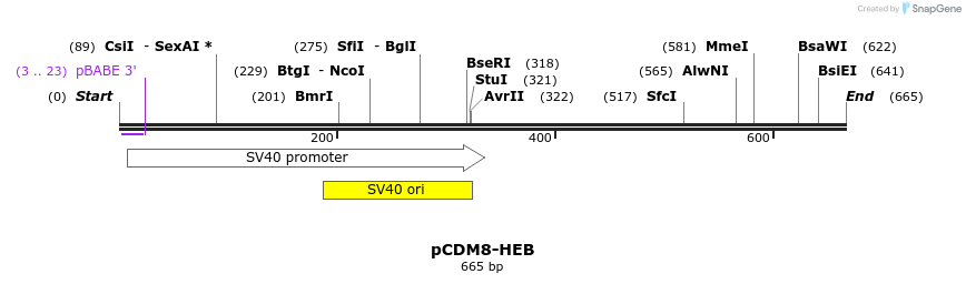 17017_map